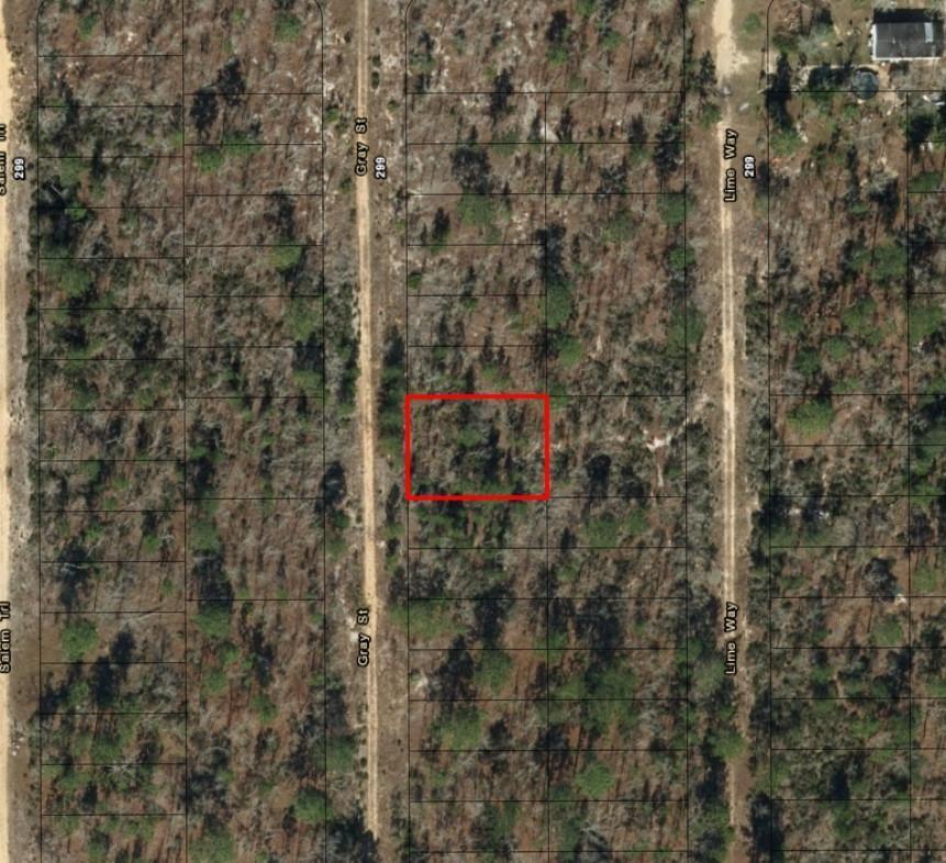 0 Gray Street, FL 32148, FL — photo 2 of 2