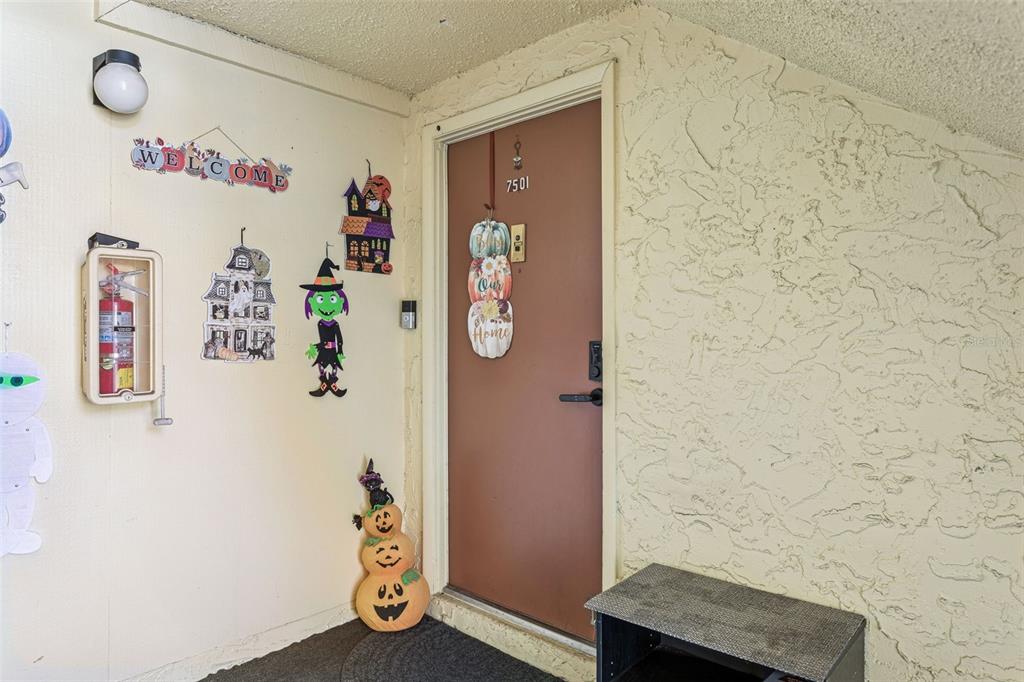 An exterior entryway features a brown door decorated with seasonal signs and a fire extinguisher — 7501 DOLONITA DRIVE UNIT 7501, TAMPA, FL