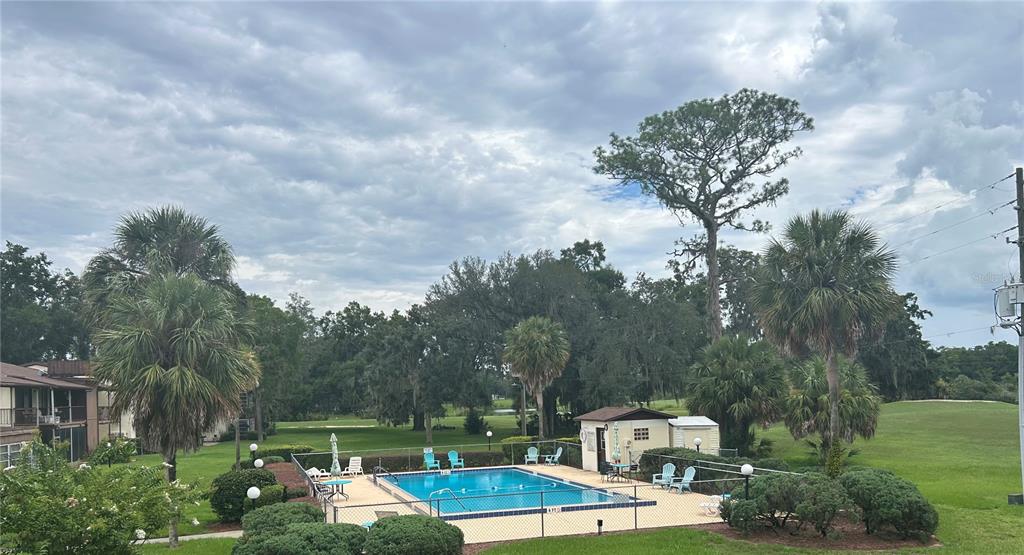 An outdoor swimming pool is surrounded by a fence, palm trees, and a grassy lawn — 729 MIDWAY DRIVE UNIT B, OCALA, FL