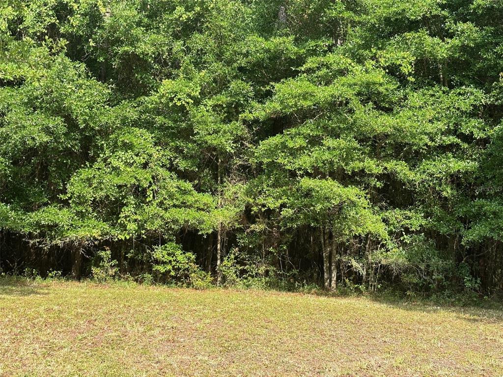 6038 NW 90TH STREET, GAINESVILLE, FL — photo 3 of 7