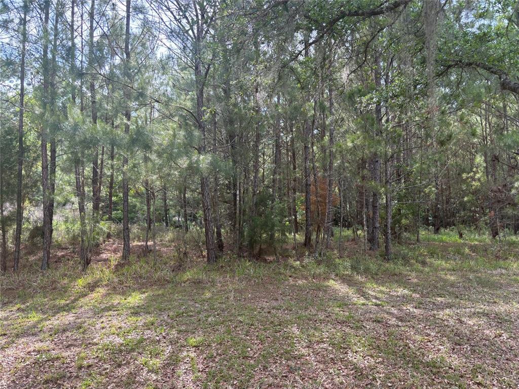 6038 NW 90TH STREET, GAINESVILLE, FL — photo 4 of 7