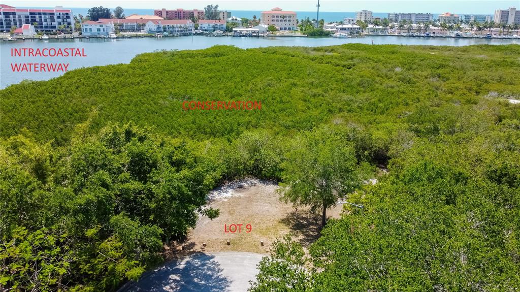 EGRET WOODS CIRCLE, SEMINOLE, FL — photo 2 of 13