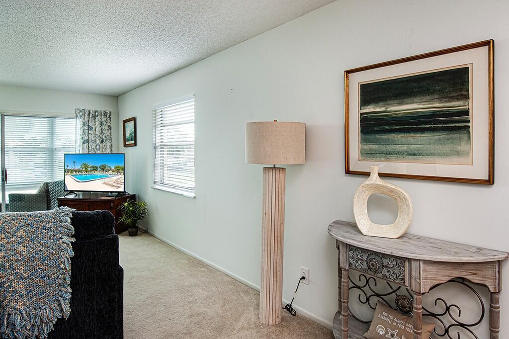 A living room features beige carpet, a console table, a floor lamp, and a television — VERO BEACH, FL