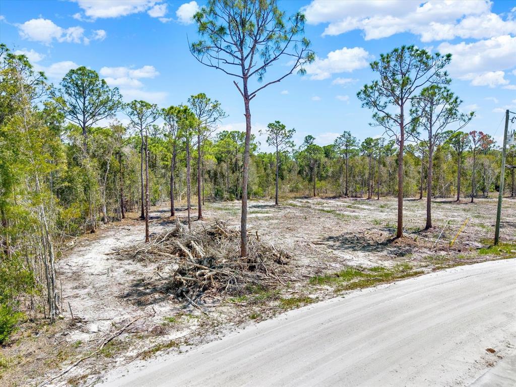 A dirt road runs alongside a cleared, sandy lot with several tall pine trees — 12268 FINWICK DRIVE, PUNTA GORDA, FL