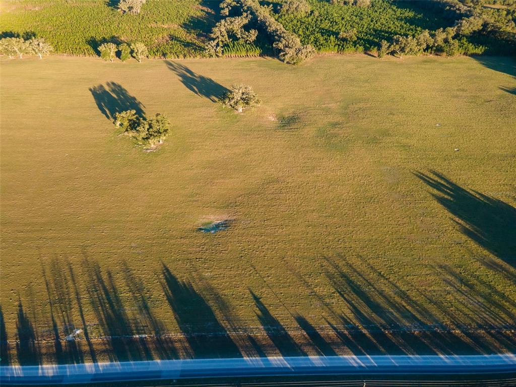 An aerial view shows a large, grassy pasture with scattered trees and a road below — 004 NW 202ND STREET, NEWBERRY, FL