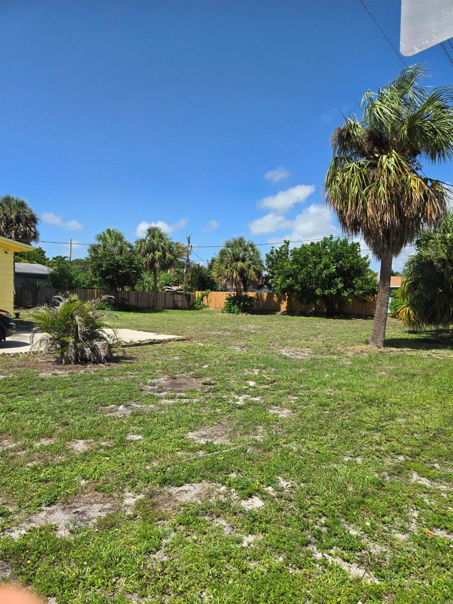 A grassy backyard features several palm trees and a wooden fence under a blue sky — 239 NE 18th Avenue, Pompano Beach FL 33060, POMPANO BEACH, FL