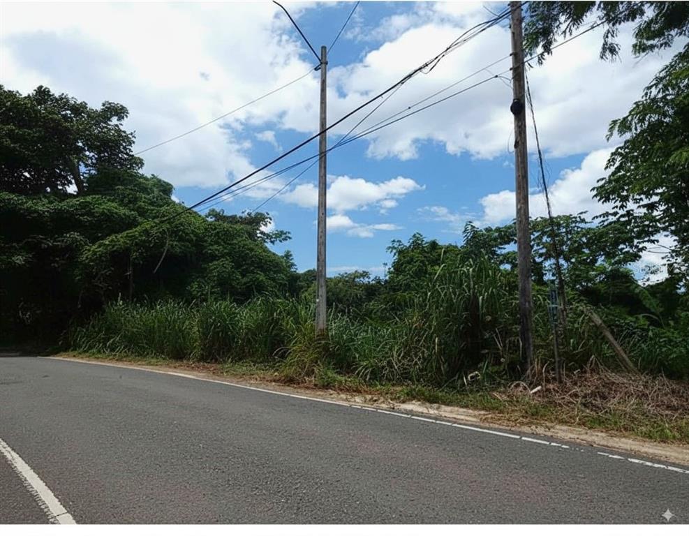 A paved road runs alongside a grassy, tree-lined vacant lot with two utility poles — SR 108 KM 7.4 RIO CAÑAS WD UNIT C-1, ANASCO, PR