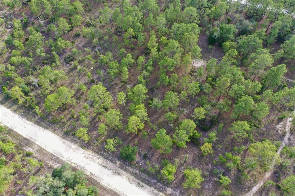 An aerial view shows a dirt road bordering a wooded lot with scattered pine trees — 0000 NE 132 TERRACE LOT 2 TERRACE, WILLISTON, FL