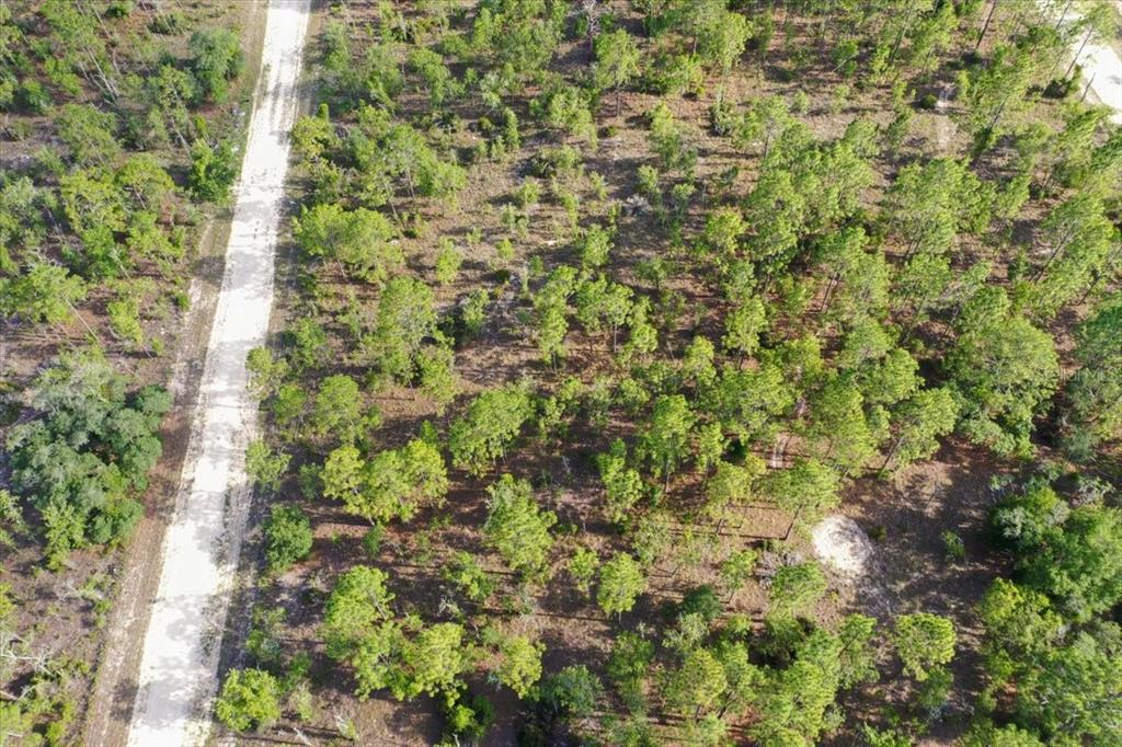 An aerial view shows a dirt road running through a wooded, undeveloped lot — 0000 NE 132 TERRACE LOT 2 TERRACE, WILLISTON, FL