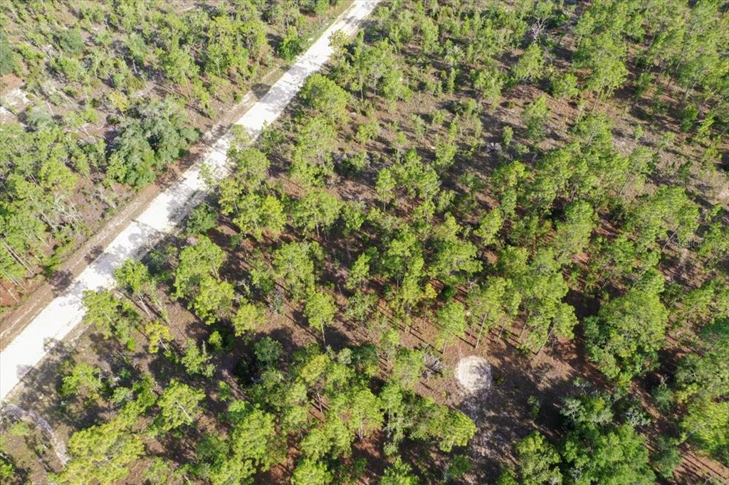 An aerial view shows a dirt road running diagonally through a wooded, undeveloped lot — 0000 NE 132 TERRACE LOT 2 TERRACE, WILLISTON, FL