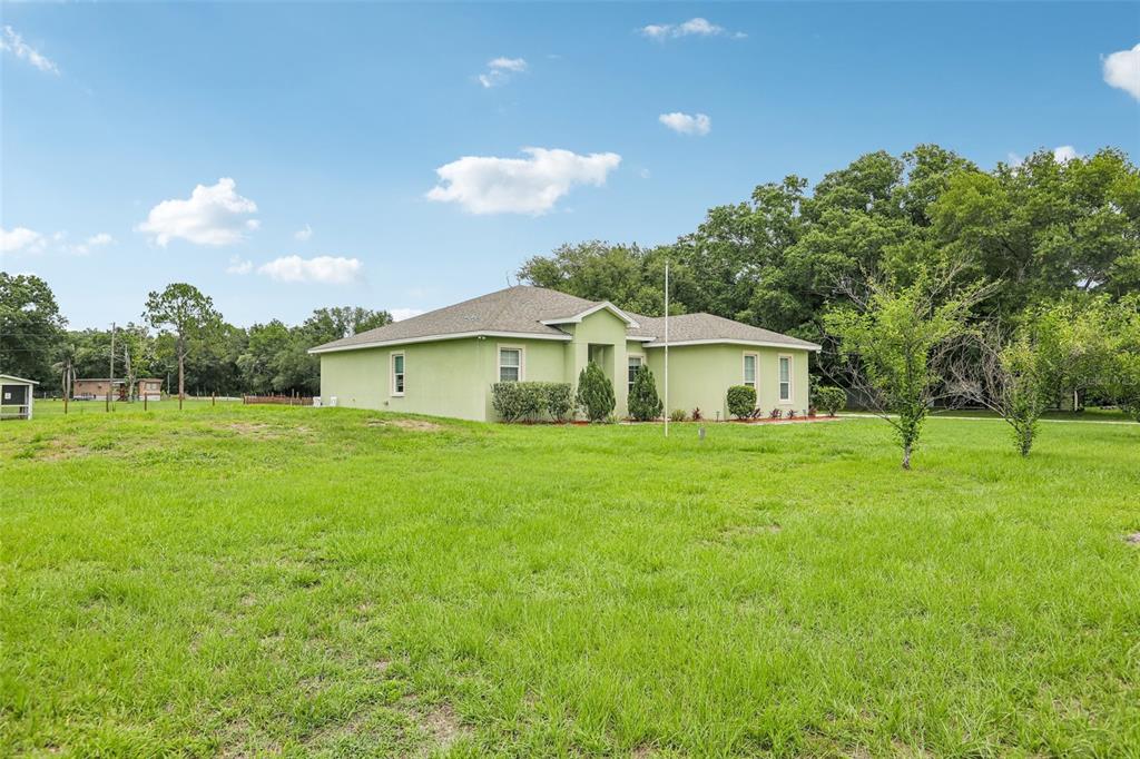 A light green, single-story house sits on a large, grassy lot under a blue sky — 9876 PANGOLA LOOP, LAND O LAKES, FL