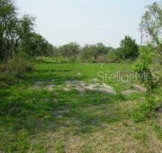 An overgrown, grassy vacant lot is surrounded by trees under a clear sky — 5224 CLARENCE GORDON JUNIOR ROAD, PLANT CITY, FL