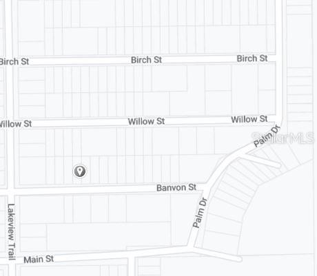 00 BANVON STREET, INTERLACHEN, FL — photo 3 of 3
