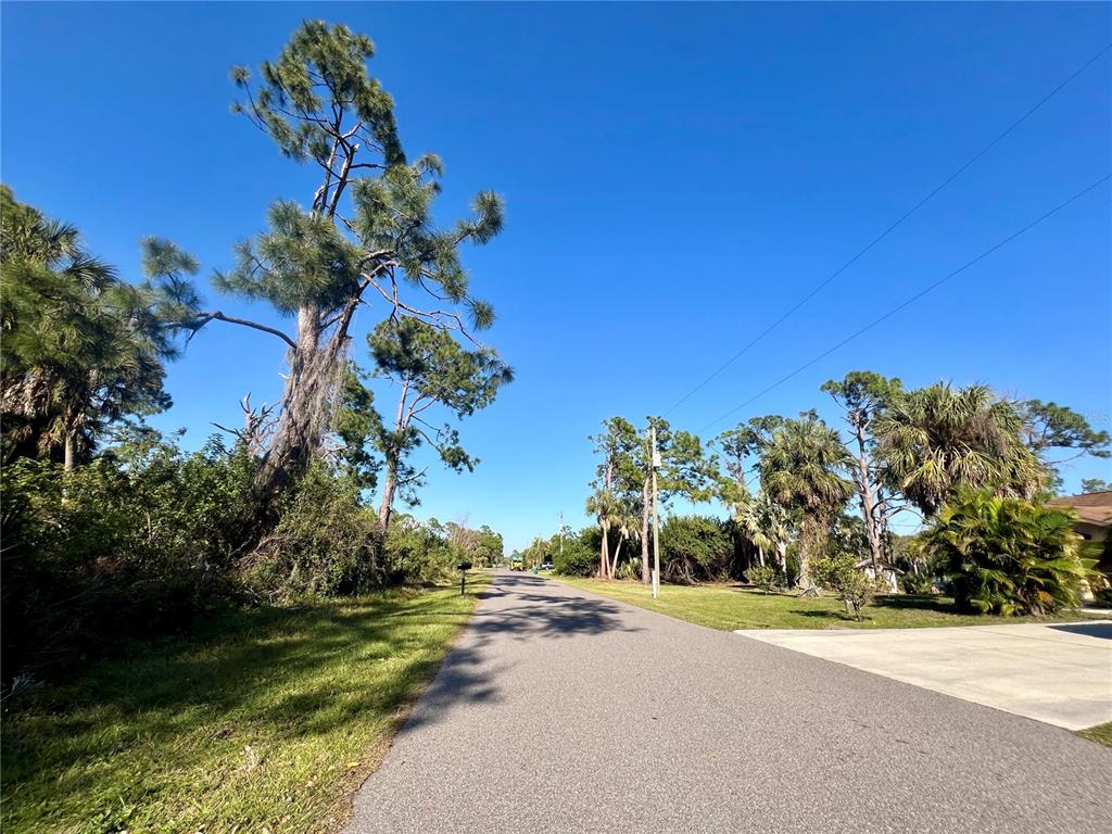 A paved road leads through a residential area with tall pine trees and lush vegetation — 492 CORY STREET, PORT CHARLOTTE, FL