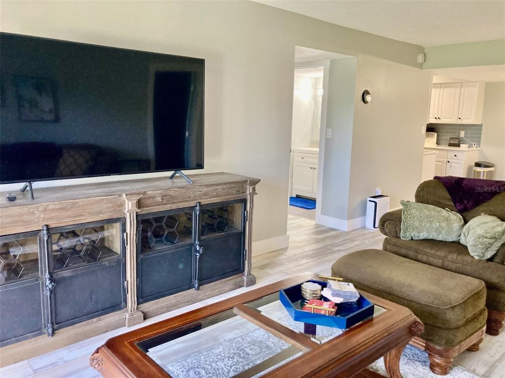A living room features a large television on a wooden console, a coffee table, and an armchair — 6114 43RD STREET W UNIT 103E, BRADENTON, FL