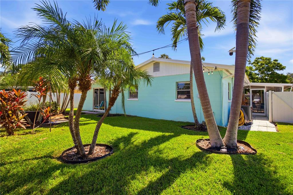 A light blue house exterior features palm trees, a green lawn, and string lights — 6116 DARTMOUTH DRIVE, BRADENTON, FL