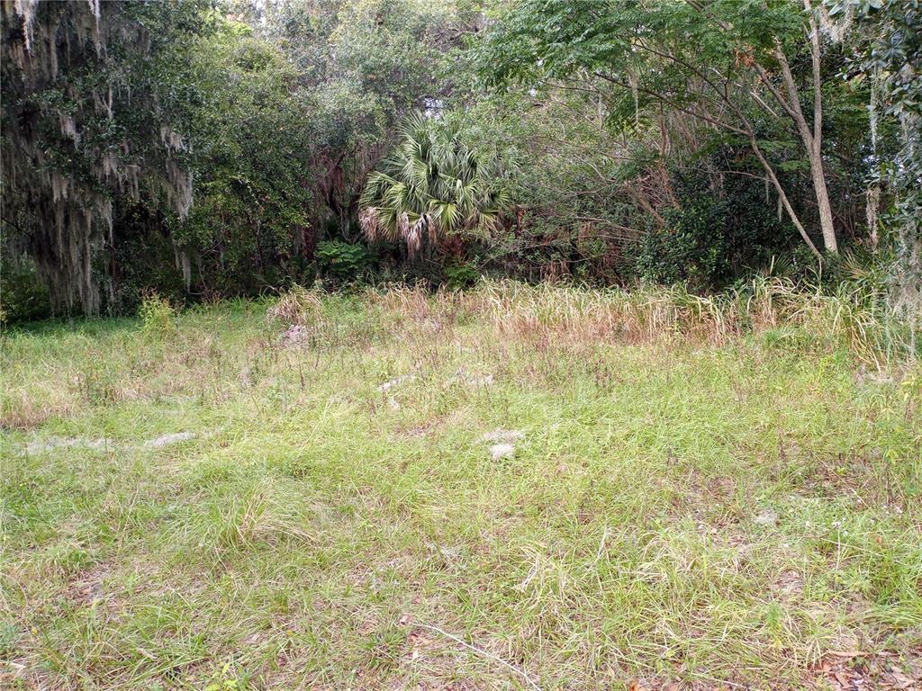 CARVER STREET, MIMS, FL — photo 2 of 3