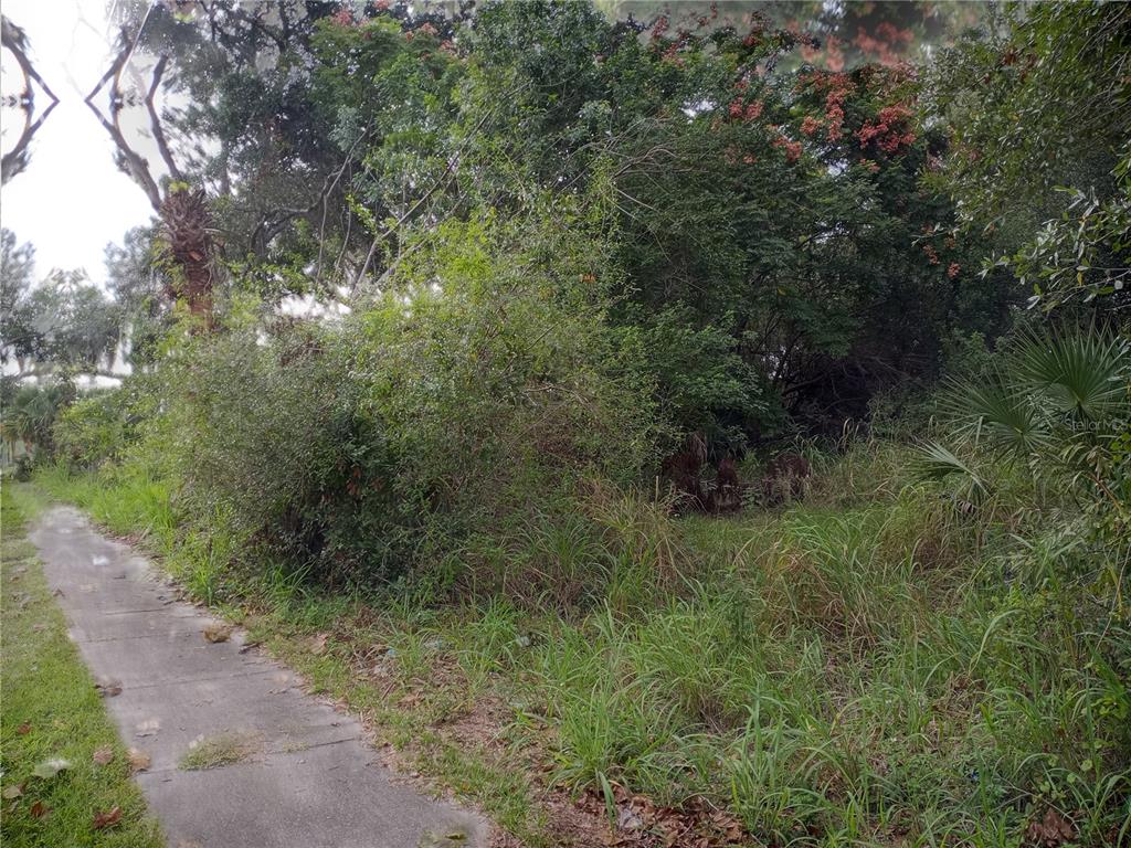 CARVER STREET, MIMS, FL — photo 3 of 3