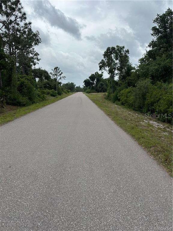 A paved road stretches into the distance, flanked by dense trees and green vegetation — 145 BODINE STREET, PUNTA GORDA, FL