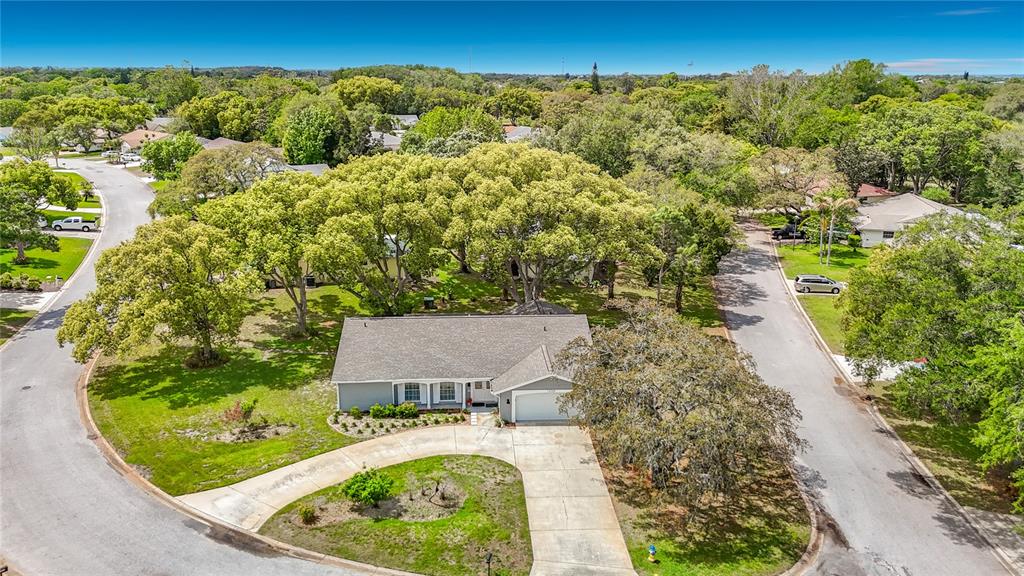 An aerial view shows a single-story house with a curved driveway and large shade trees — 12709 CASTLEBERRY COURT, HUDSON, FL