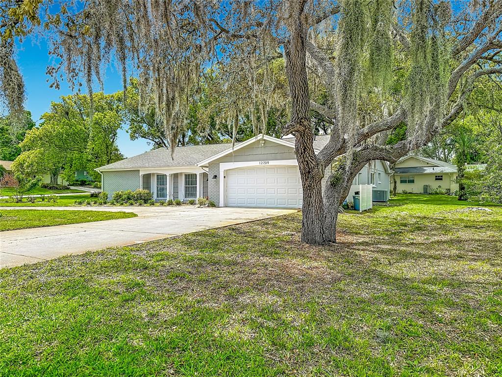 A single-story house with a white garage door and a large oak tree in front — 12709 CASTLEBERRY COURT, HUDSON, FL