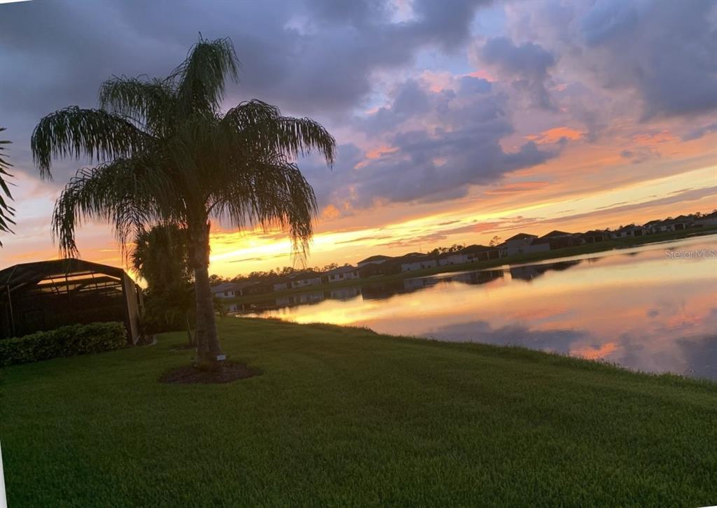A palm tree stands on a grassy lawn overlooking a lake at sunset — 2536 MARTON OAK BOULEVARD, NORTH PORT, FL