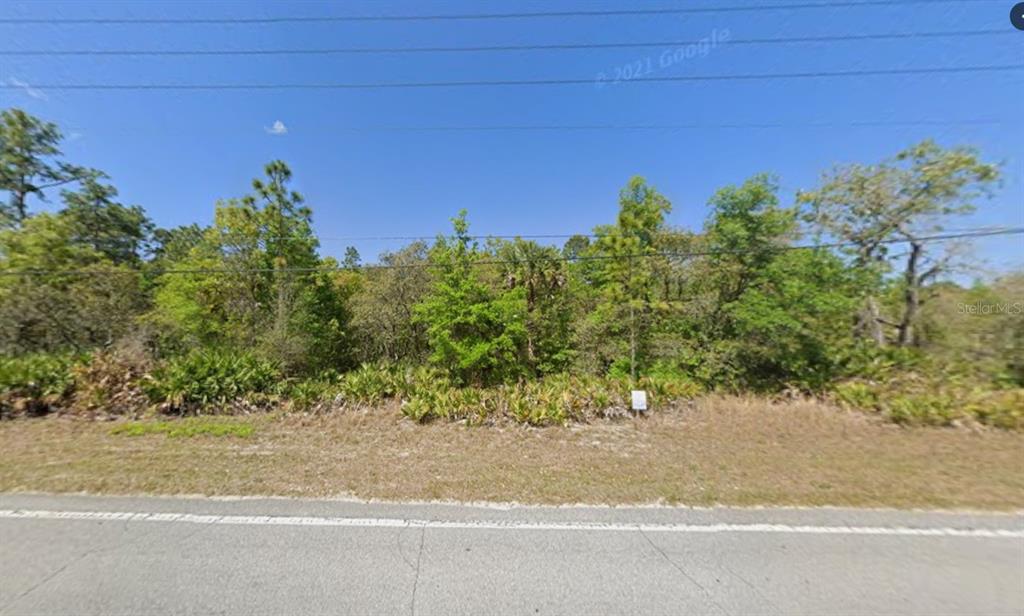 A vacant, wooded lot sits alongside a paved road under a clear blue sky — 632 N DUNKENFIELD AVENUE, CRYSTAL RIVER, FL