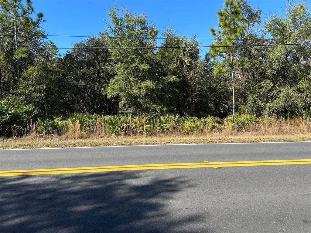 A paved road runs in front of a wooded lot with dense trees and palmettos — 632 N DUNKENFIELD AVENUE, CRYSTAL RIVER, FL