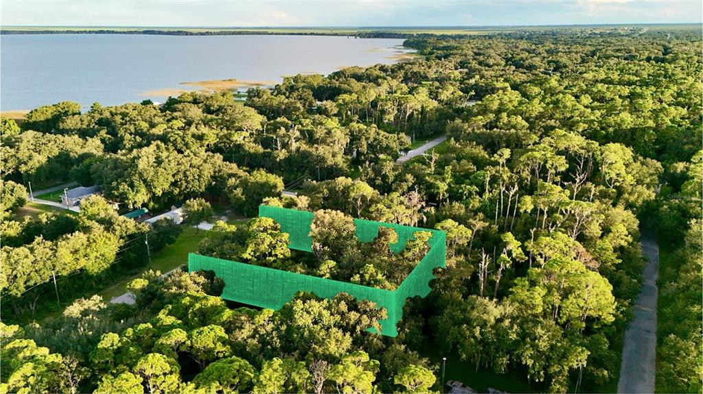 An aerial view shows a wooded lot with a digital green boundary outline — 438 HIGHLANDS LAKE DRIVE, LAKE PLACID, FL