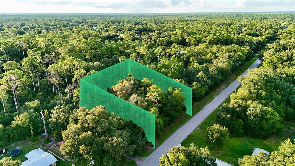 An aerial view shows a wooded residential lot highlighted with a green digital property boundary — 438 HIGHLANDS LAKE DRIVE, LAKE PLACID, FL