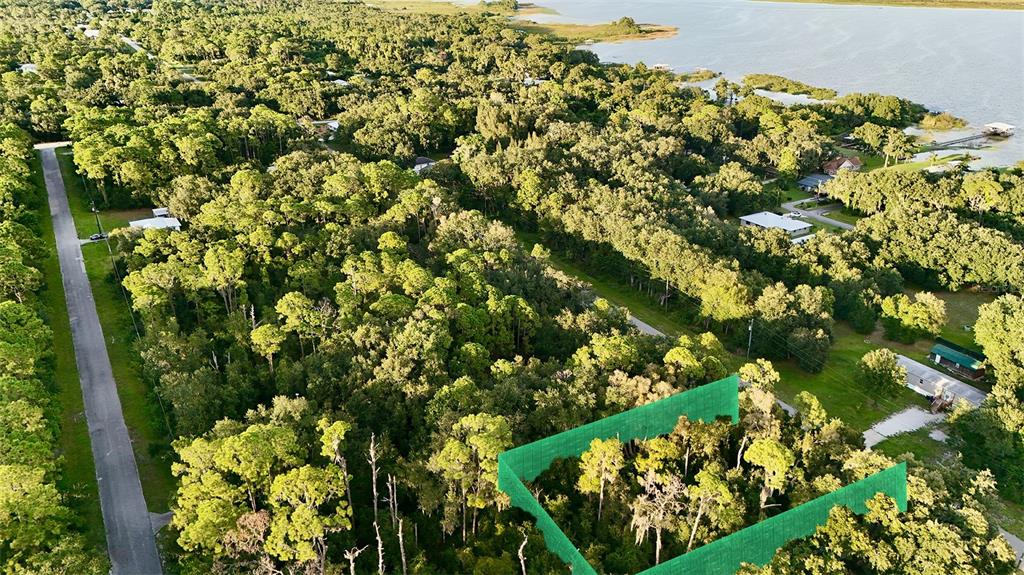 An aerial view shows a wooded lot outlined in green near a body of water — 438 HIGHLANDS LAKE DRIVE, LAKE PLACID, FL