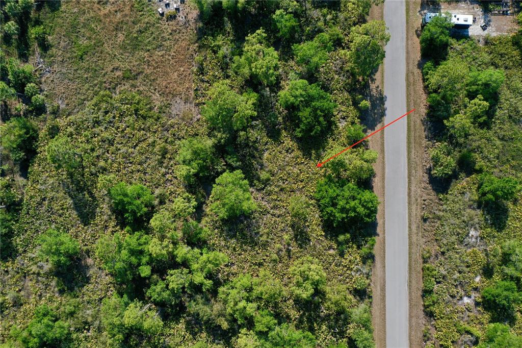An aerial view shows a paved road running alongside a wooded, undeveloped plot of land — 12453 KOENIG LANE, PORT CHARLOTTE, FL