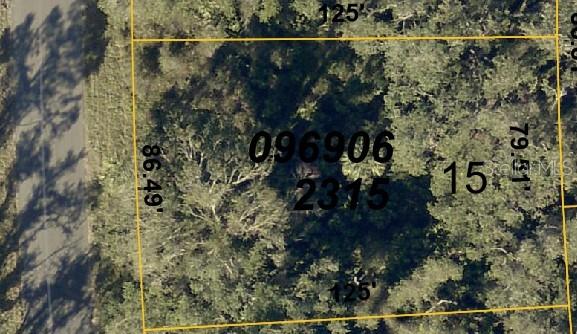 This is an aerial map view of a wooded rectangular plot of land — BANGAR LANE, NORTH PORT, FL