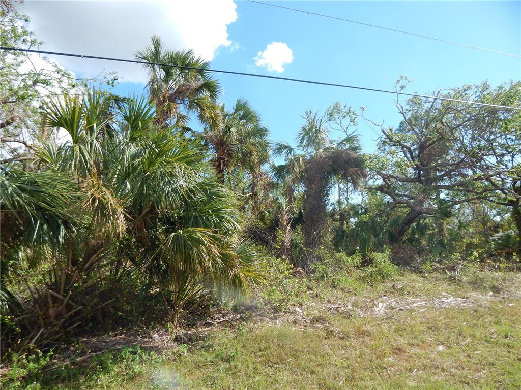 A view of a grassy lot with several palm trees and other vegetation under a sky — 1292 EPPINGER DRIVE, PORT CHARLOTTE, FL