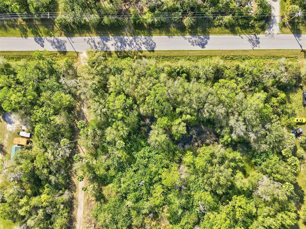 An aerial view shows a wooded lot with a dirt path and a small pond — 39970 LITTLE FARM ROAD, PUNTA GORDA, FL