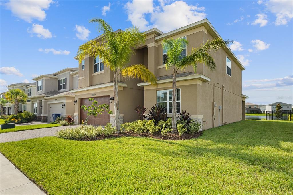 A two-story tan stucco house with a two-car garage and two palm trees in front — 32684 TAMARIND GROVE LANE, WESLEY CHAPEL, FL