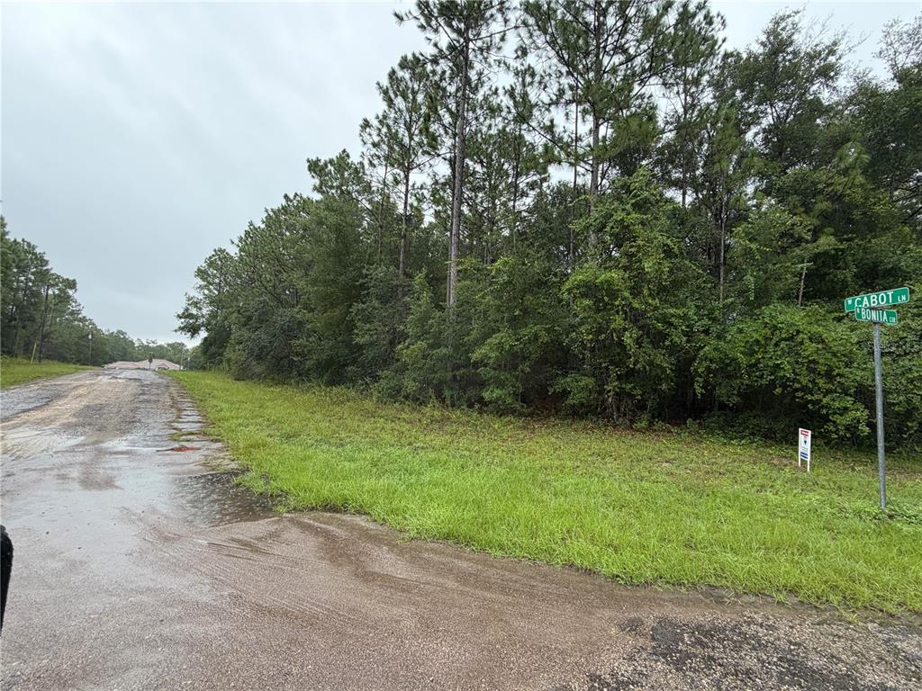 A dirt road intersection with a street sign stands beside a wooded lot — 482 W CABOT LANE, CITRUS SPRINGS, FL