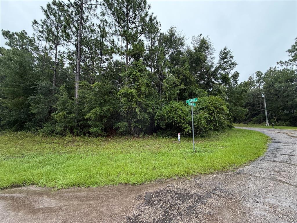 A wooded corner lot features a street sign at the intersection of two paved roads — 482 W CABOT LANE, CITRUS SPRINGS, FL