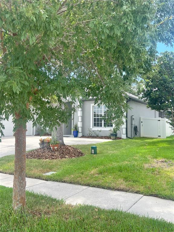 264 LONGHIRST LOOP, OCOEE, FL — photo 5 of 30