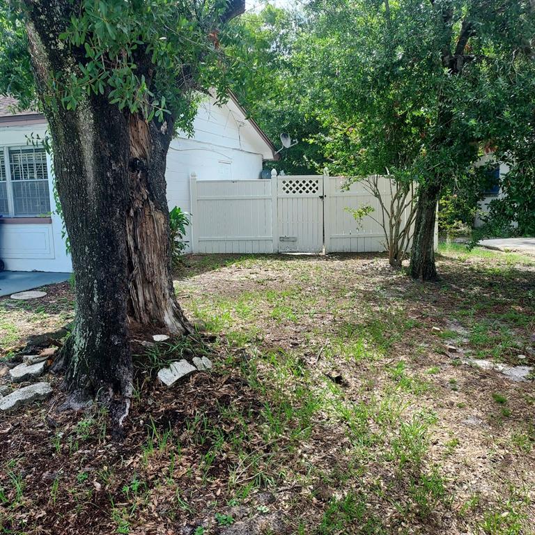 A large tree stands in a yard with a white vinyl fence and house exterior — 4617 SNOOK DRIVE, TAMPA, FL