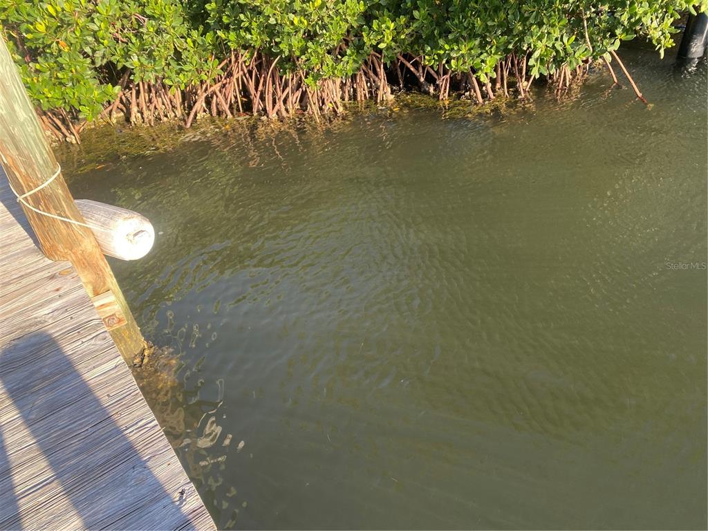 A wooden dock extends over dark water toward a dense line of mangrove trees — 8303 MARINA DRIVE UNIT 12, HOLMES BEACH, FL