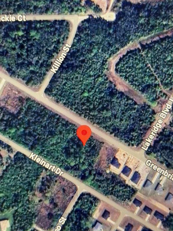 This is a satellite map view showing a vacant, wooded lot marked with a red pin — 625 GREENBRIAR BOULEVARD, LEHIGH ACRES, FL