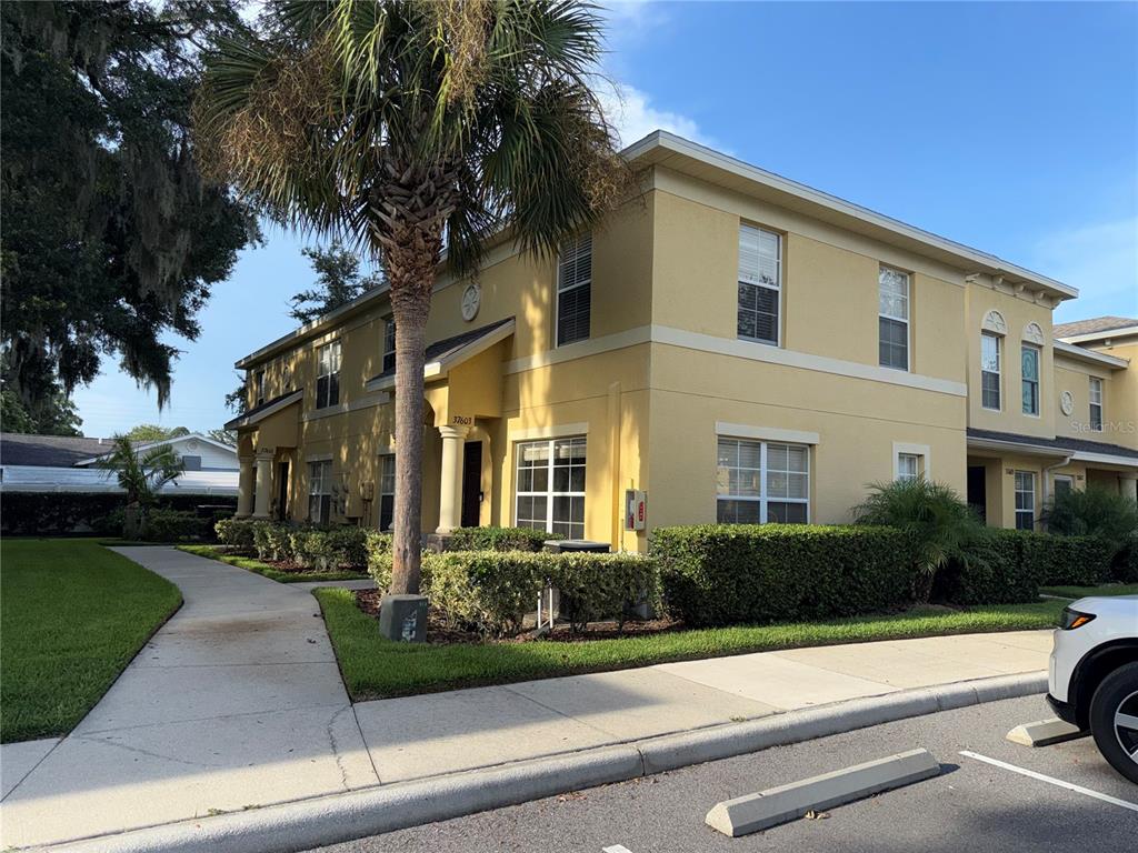 A two-story yellow stucco townhouse with a palm tree and a sidewalk in front — 37603 DALIHA TERRACE, ZEPHYRHILLS, FL