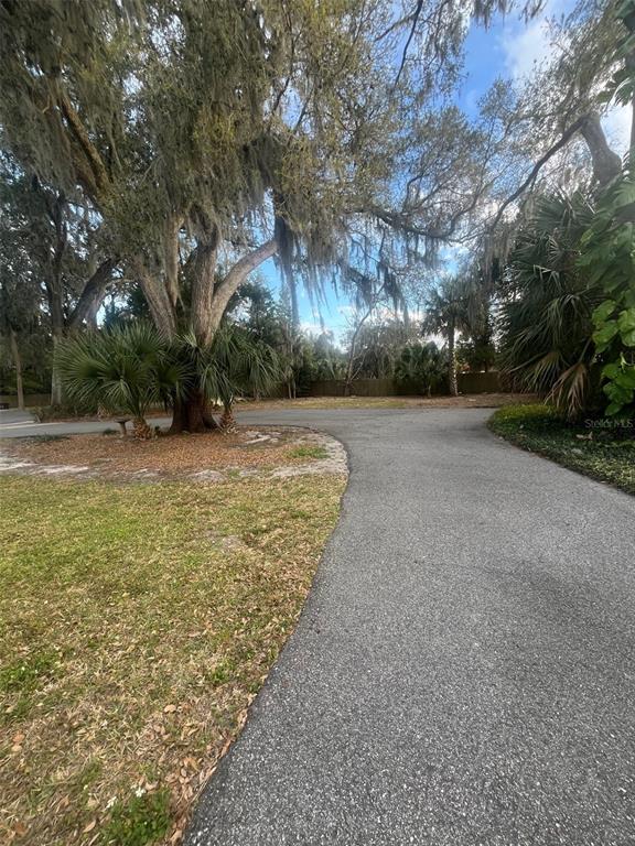 A paved driveway leads toward a large tree with Spanish moss and surrounding palm trees — 130 E 1ST STREET, APOPKA, FL