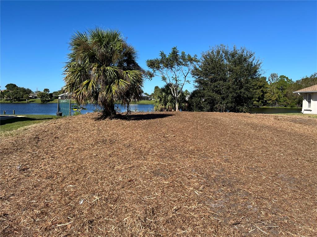 A cleared, vacant waterfront lot features a large palm tree and other mature trees — 145 ROBINA STREET, PORT CHARLOTTE, FL