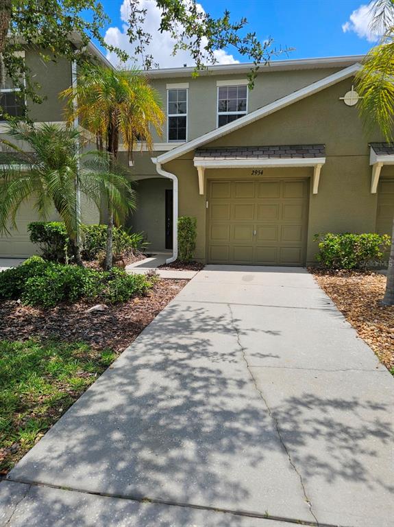 A two-story tan townhouse features a single-car garage, a concrete driveway, and palm trees — 2954 WILLOWLEAF LANE, WESLEY CHAPEL, FL