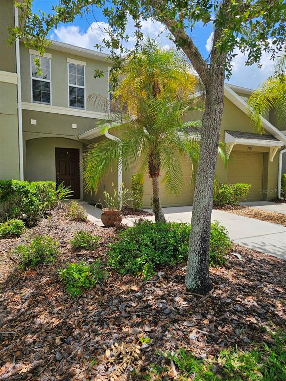 A two-story townhouse exterior features a brown front door, a garage, and a palm tree — 2954 WILLOWLEAF LANE, WESLEY CHAPEL, FL