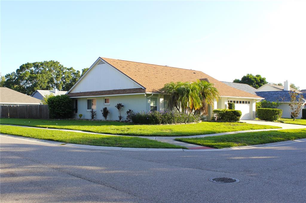 A single-story house with a brown shingled roof and a palm tree in the yard — 1913 FIRETHORN COURT, BRANDON, FL
