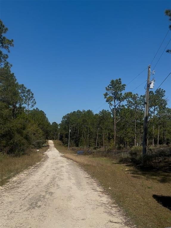 A dirt road leads through a wooded area with a utility pole on the right — SW 128TH TERRACE ROAD, OCALA, FL