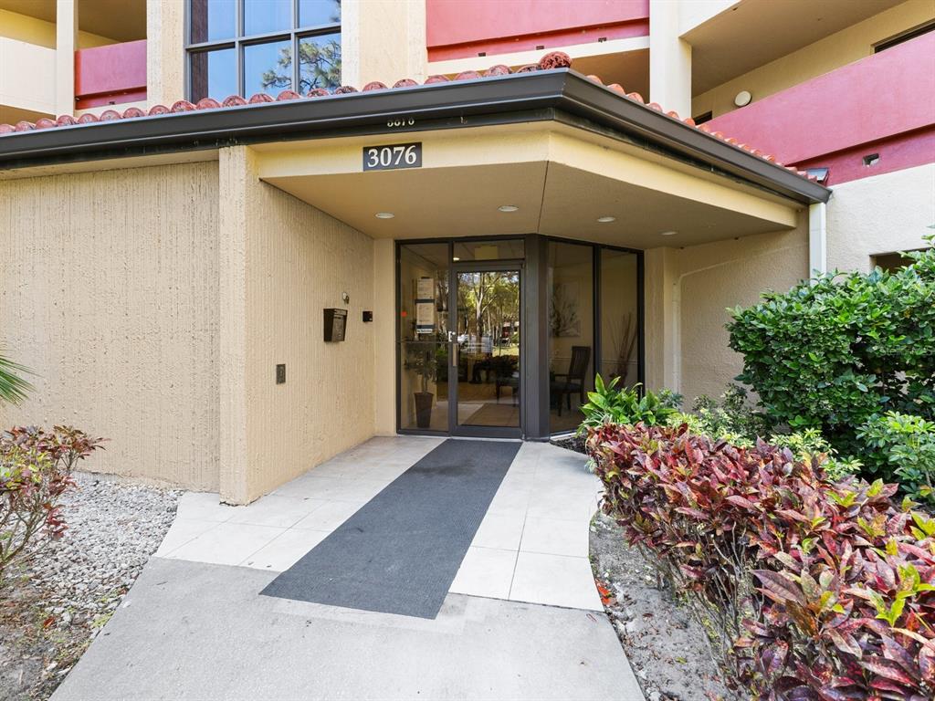 The exterior entrance of a building features a glass door, concrete walkway, and landscaping — 3076 EASTLAND BOULEVARD UNIT 210, CLEARWATER, FL
